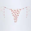 Braguitas de bikini Cove con lazos laterales y estampado de cerezas