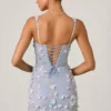 Vestido cortito corsé con apliques decorativos Briar en azul cielo Vestido cortito corsé con apliques decorativos Briar en azul cielo