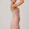 Vestido corto Briar con apliques decorativos y corte corsé en rosa empolvado