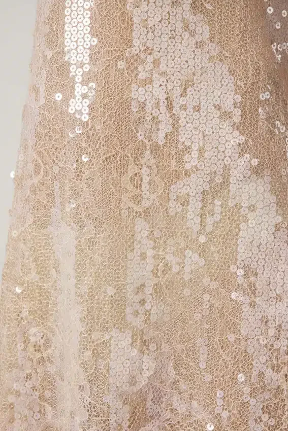 Vestido corto de encaje con cuello en V y adornos Agentha en melocotón pálido Vestido corto de encaje con cuello en V y adornos Agentha en melocotón pálido
