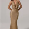 Vestido largo sin espalda con cuello vuelto y adornos Feyre en dorado